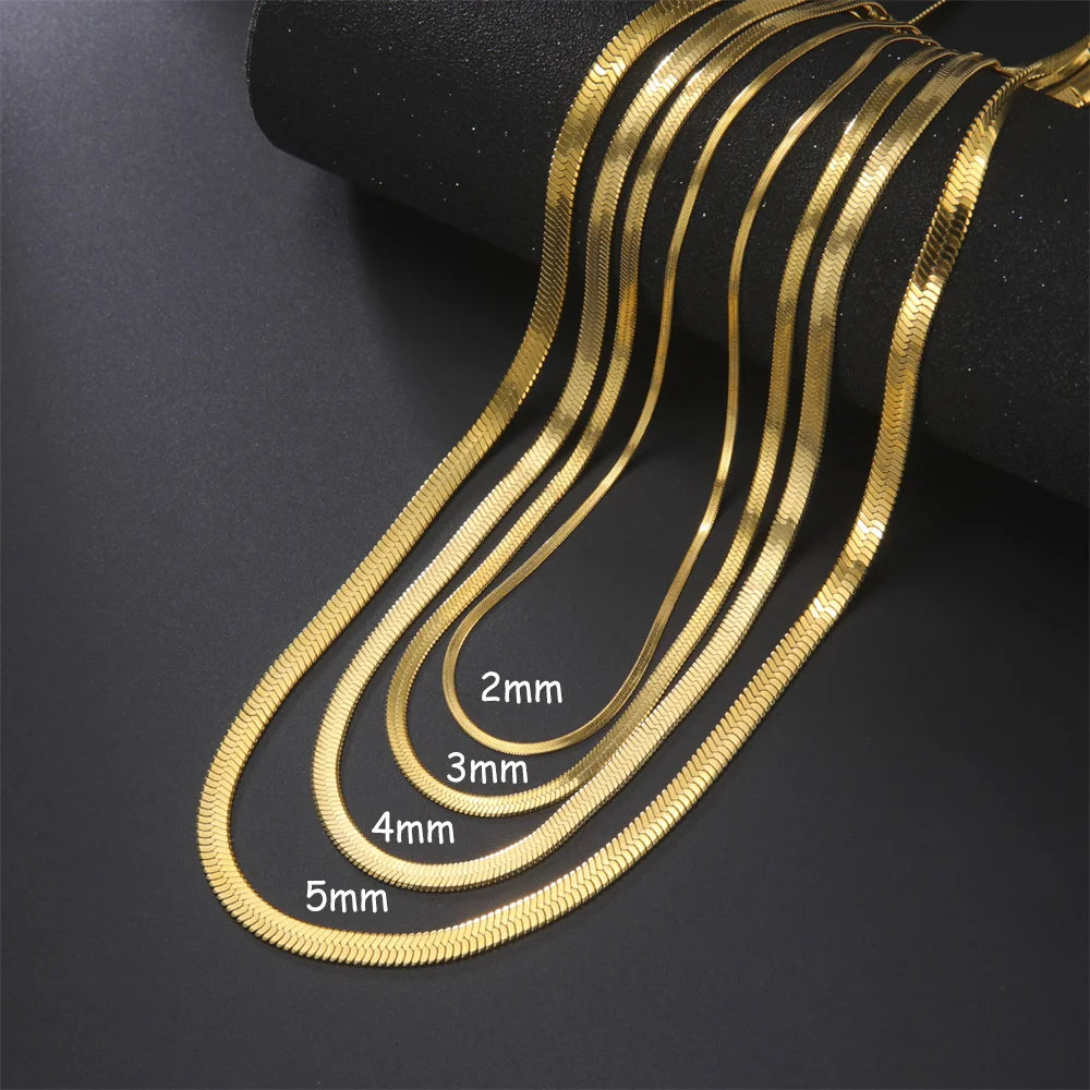 Skyrim Stainless Steel Snake Chain Necklace for Women Men Gold Color Herringbone Choker Neck Chains 2025 Trend Jewelry Gift Hot - Live Store 4U